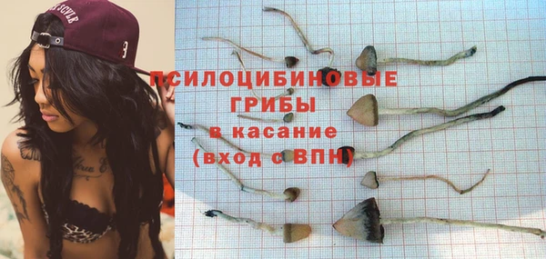 гидра Баксан