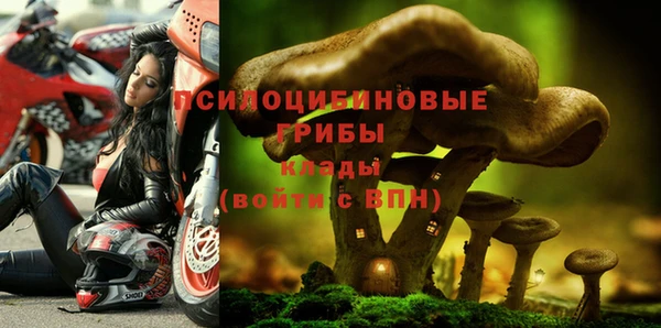 гидра Баксан