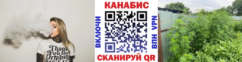 МАРИХУАНА сатива  как найти   Грязовец 